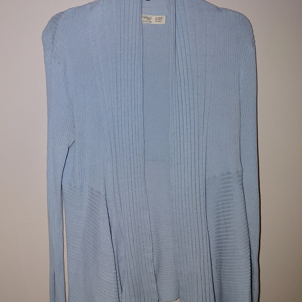 Faded Glory Sweater